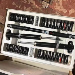 LORINSER W201 190E Suspension Kit